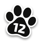 Лапка monobank: до 12 платежів